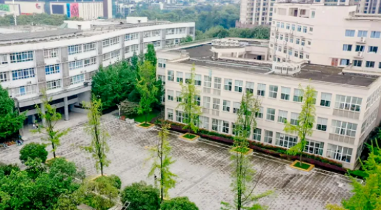電子科大香港DSE課程招生學費是多少？
