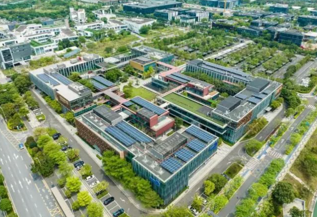 2025年深圳灣國際藝術教育招生學費、招生對象、招生年級
