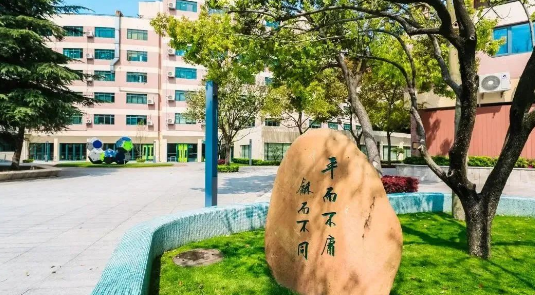 平和哲學(xué)、世外二外、WLSA上海菁英課程......盤點(diǎn)上海國(guó)際學(xué)校“殺手锏”課程！