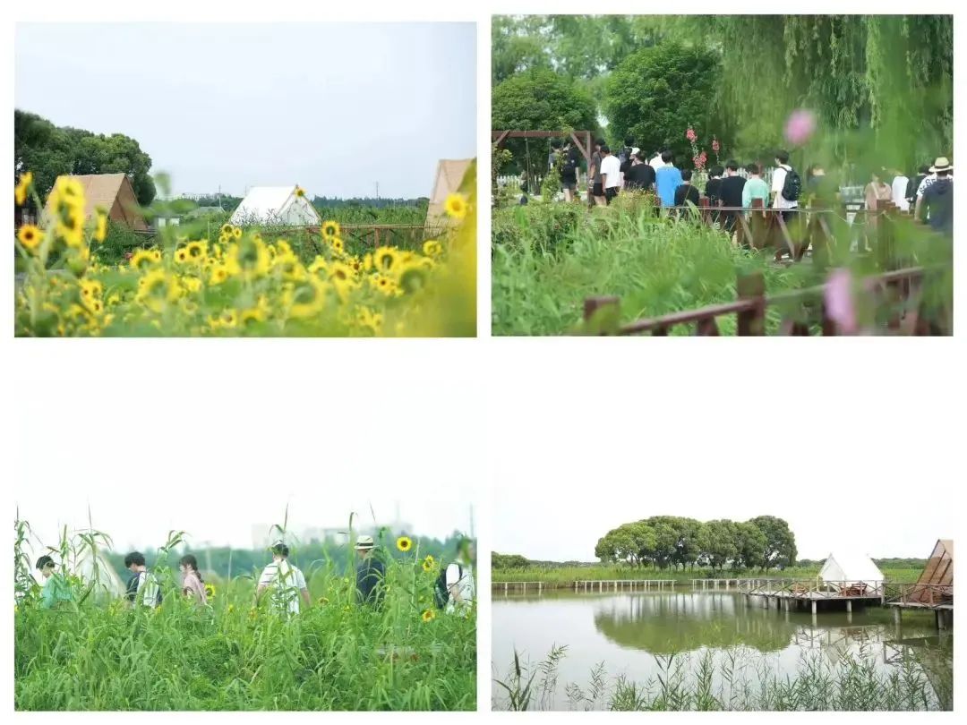 UIA美華學校
