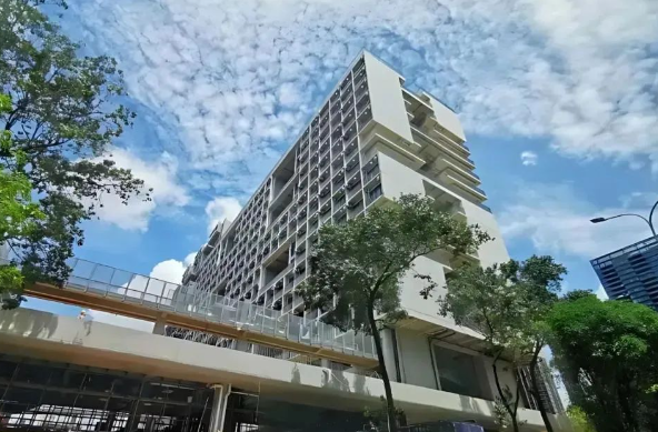 深圳國際交流書院學校特色和升學成績