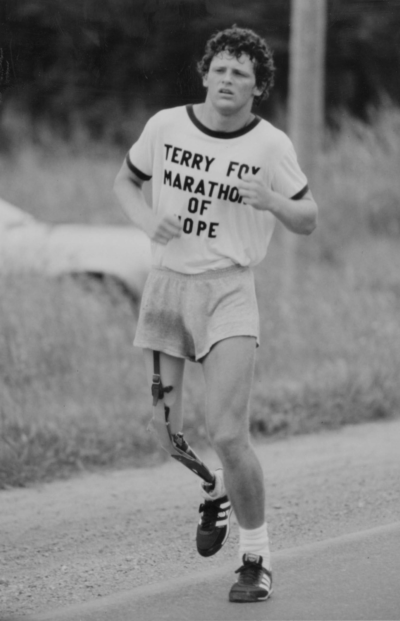 Terry-02.jpg