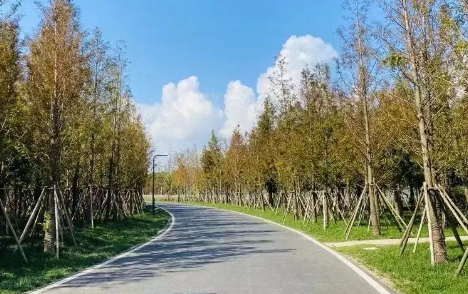 蘇州中加楓華學(xué)校國際課程介紹